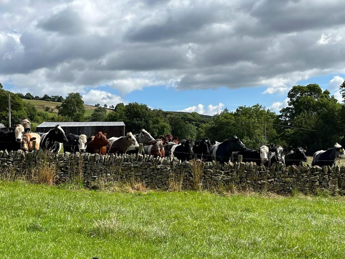 Riding House Farm Cottages คาสเซิลตัน ภายนอก รูปภาพ
